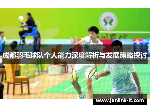 成都羽毛球队个人能力深度解析与发展策略探讨