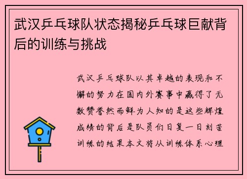 武汉乒乓球队状态揭秘乒乓球巨献背后的训练与挑战